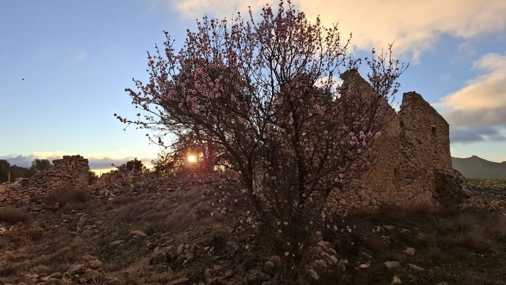 Natürliche Umgebung der Casas de Planisses in Xorret de Catí