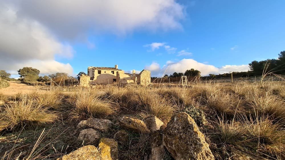 Paratge de Planisses en Xorret de Catí