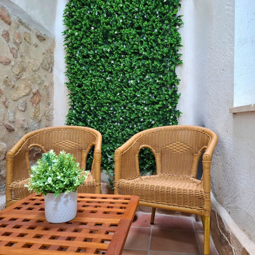 Patio trasero de Casa Rural Castalla