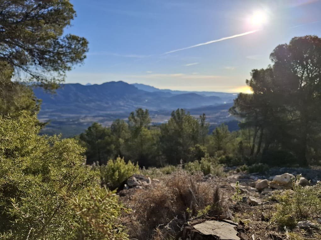 Ruta de senderismo por el Barranc del Pla de les Coves