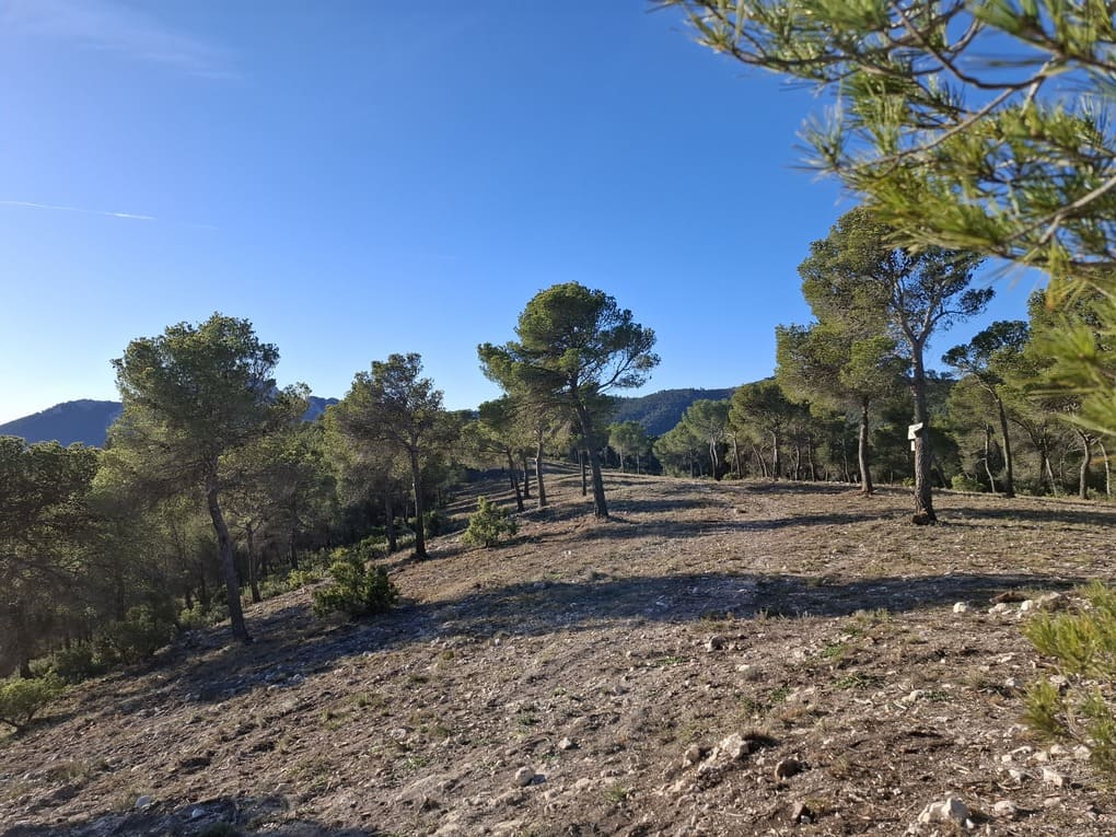 Barranc del Pla de les Coves entre Tibi y Castalla