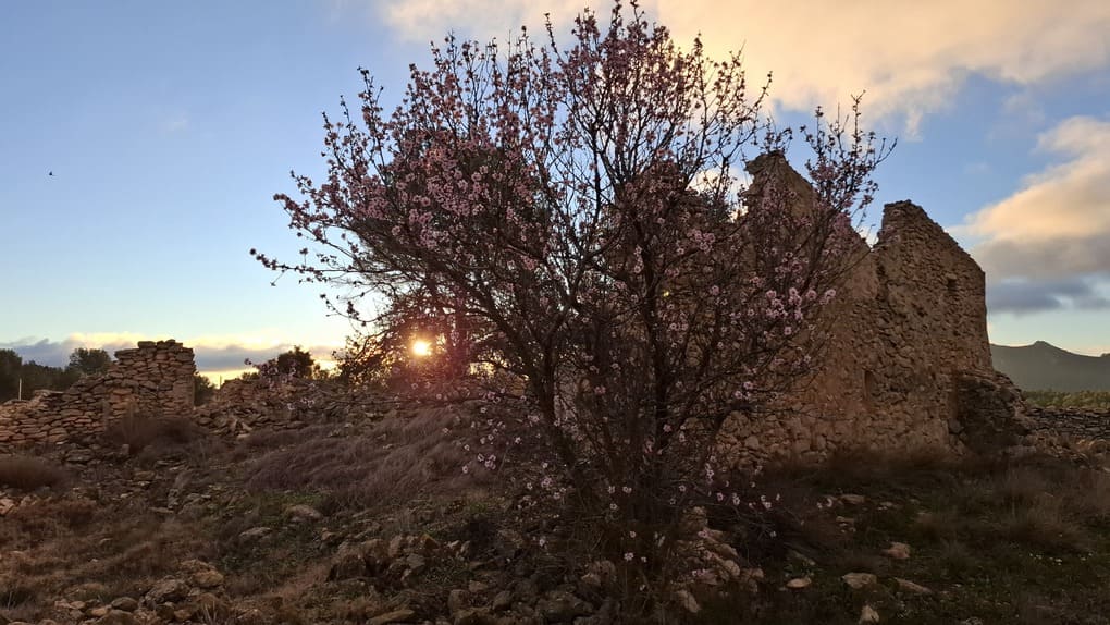 Entorno natural de las Casas de Planisses en Xorret de Catí