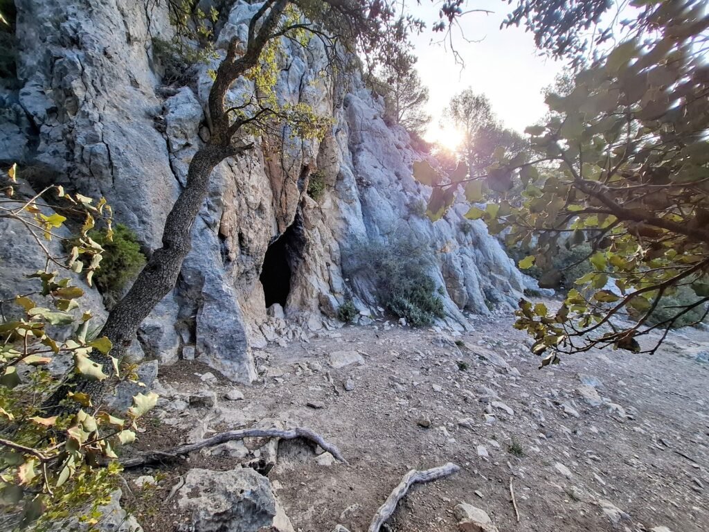 Entrada majestuosa de la Cova de Mossén Francés en la Sierra del Maigmó, detalle de roca calcárea y paisaje natural